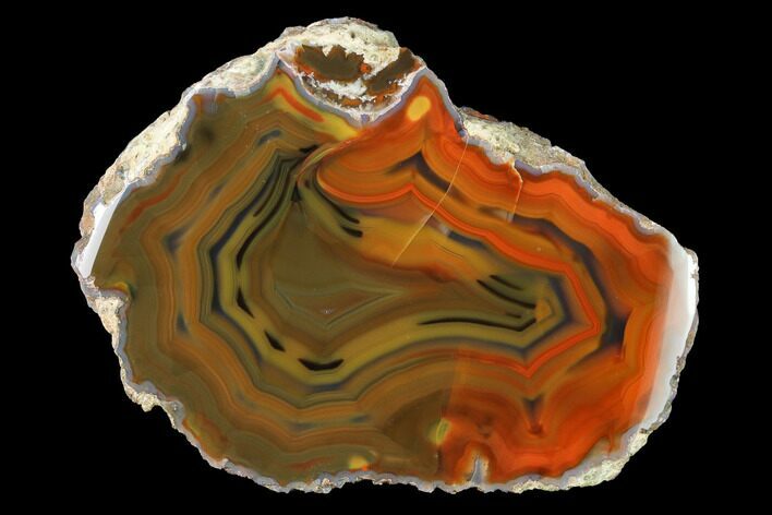 Colorful, Polished Condor Agate Section - Argentina #145535